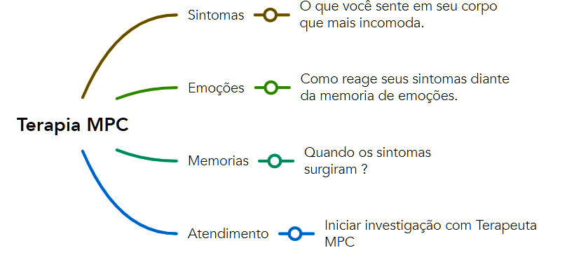 Descobrindo a trilha do trauma no primeiro atendimento.